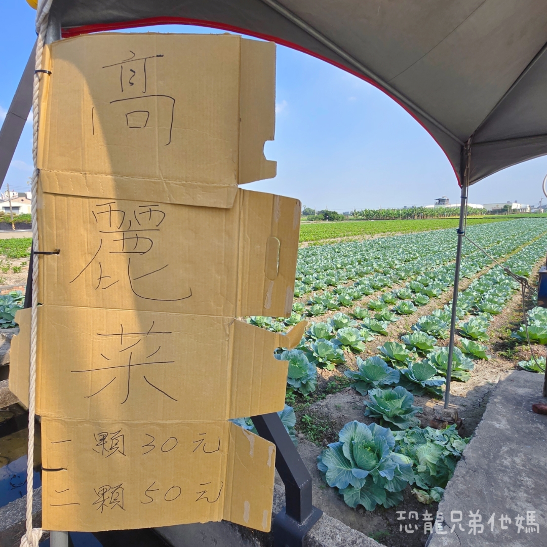 高雄‧大寮紅豆花田季,近捷運站,免費紅豆餅、小農市集、親子DIY體驗活動等,花田內可以和神明合照! - 第19張圖 高雄‧大寮紅豆花田季,近捷運站,免費紅豆餅、小農市集、親子DIY體驗活動等,花田內可以和神明合照!