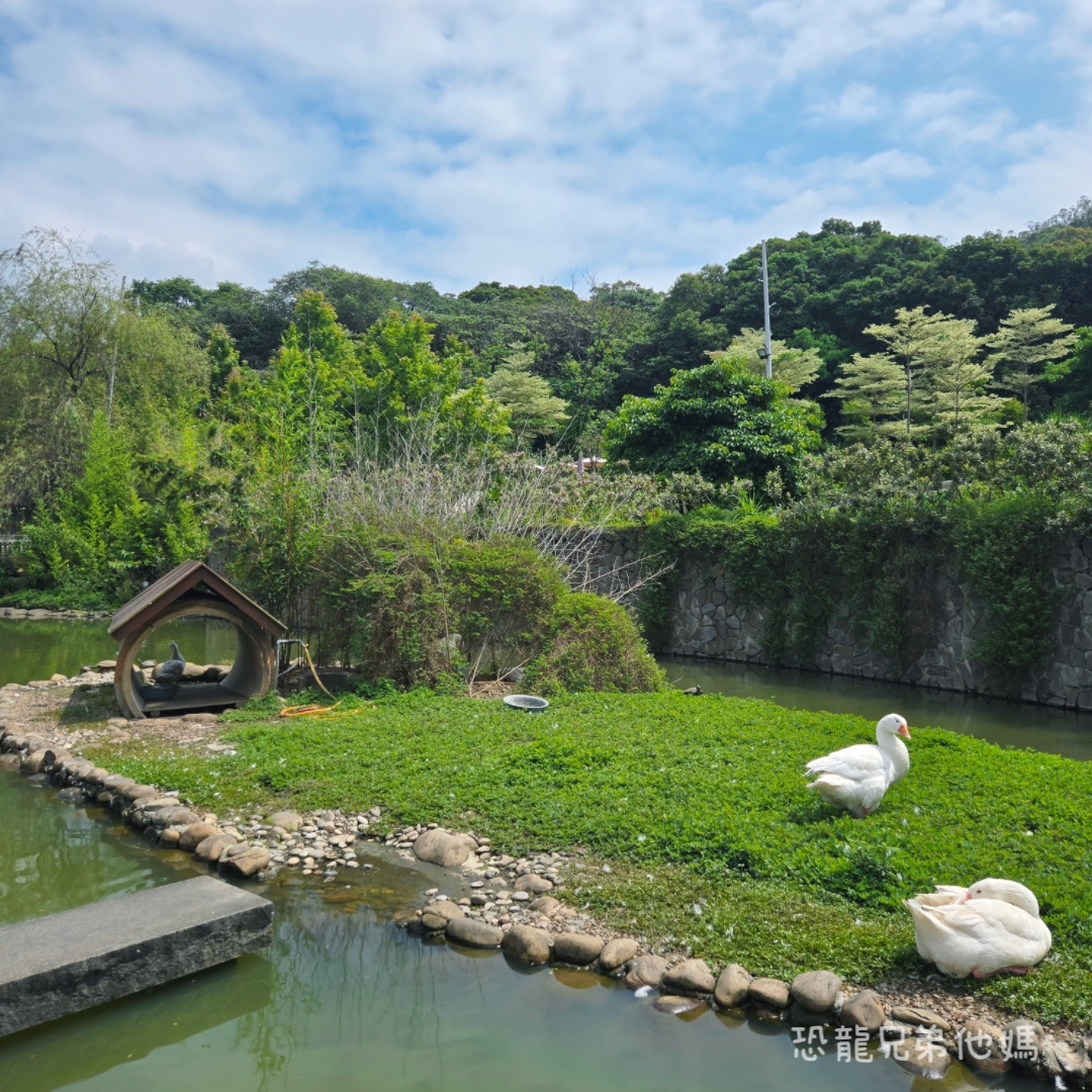 桃園親子景點｜大有梯田生態公園：全台首座梯田遊戲場！挑戰極限體能王攀爬網、松鼠滑索，玩到不想回家的旗艦級生態公園