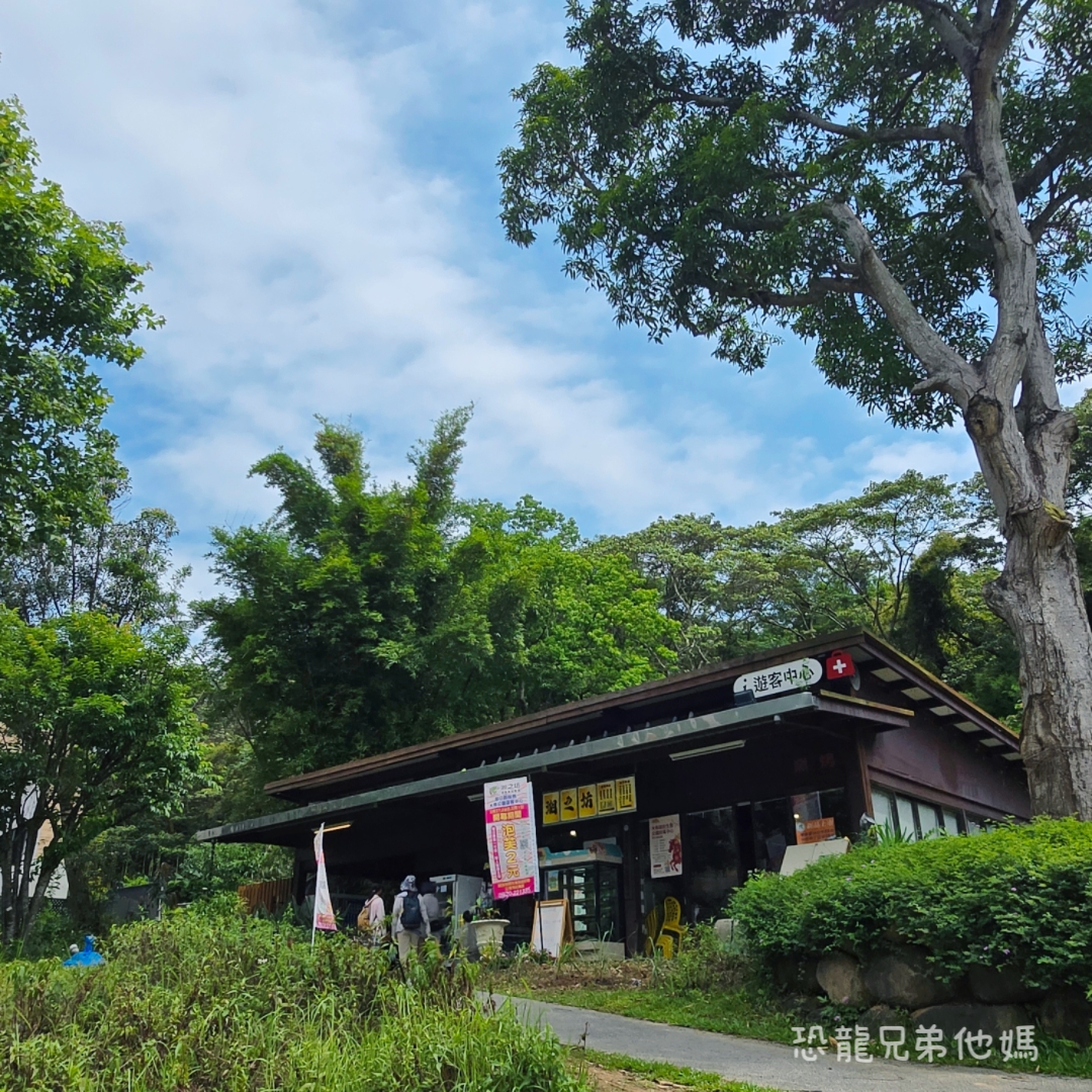 桃園親子景點｜大有梯田生態公園：全台首座梯田遊戲場！挑戰極限體能王攀爬網、松鼠滑索，玩到不想回家的旗艦級生態公園