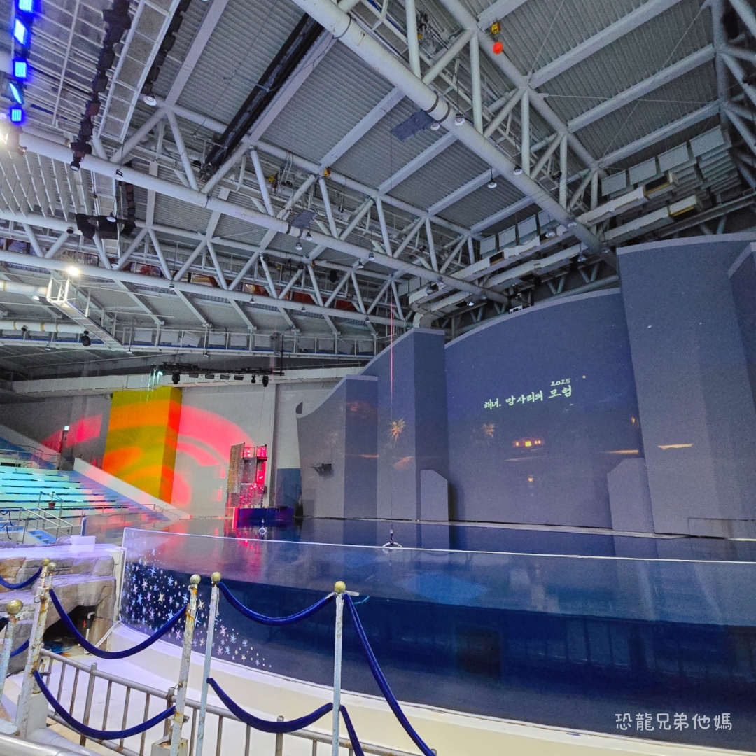 韓國‧濟洲水上星球(아쿠아플라넷제주 ,Aqua Planet),韓國最大水族館,超震撼海底隧道、海女潛水秀、超萌魟魚表演全攻略,濟州必玩景點!!2025.08 - 第31張圖 韓國‧濟洲水上星球(아쿠아플라넷제주 ,Aqua Planet),韓國最大水族館,超震撼海底隧道、海女潛水秀、超萌魟魚表演全攻略,濟州必玩景點!!2025.08