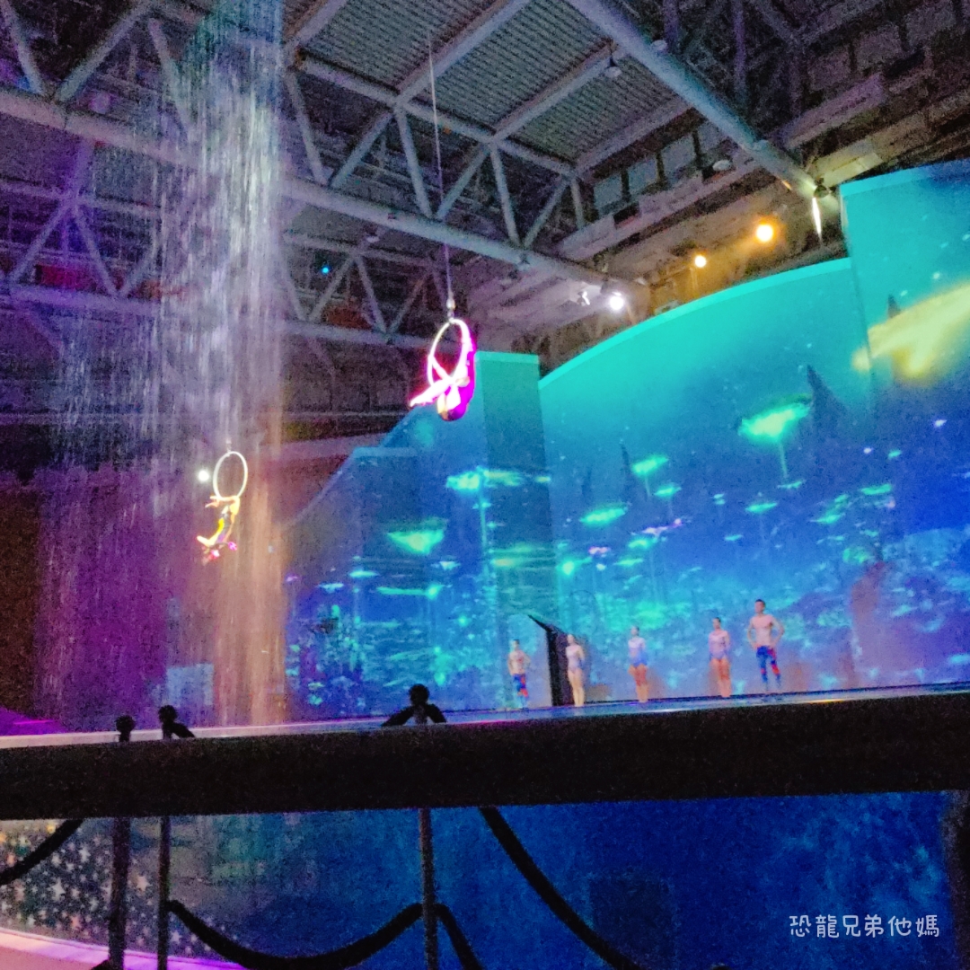 韓國‧濟洲水上星球(아쿠아플라넷제주 ,Aqua Planet)，韓國最大水族館，超震撼海底隧道、海女潛水秀、超萌魟魚表演全攻略，濟州必玩景點!!2025.08