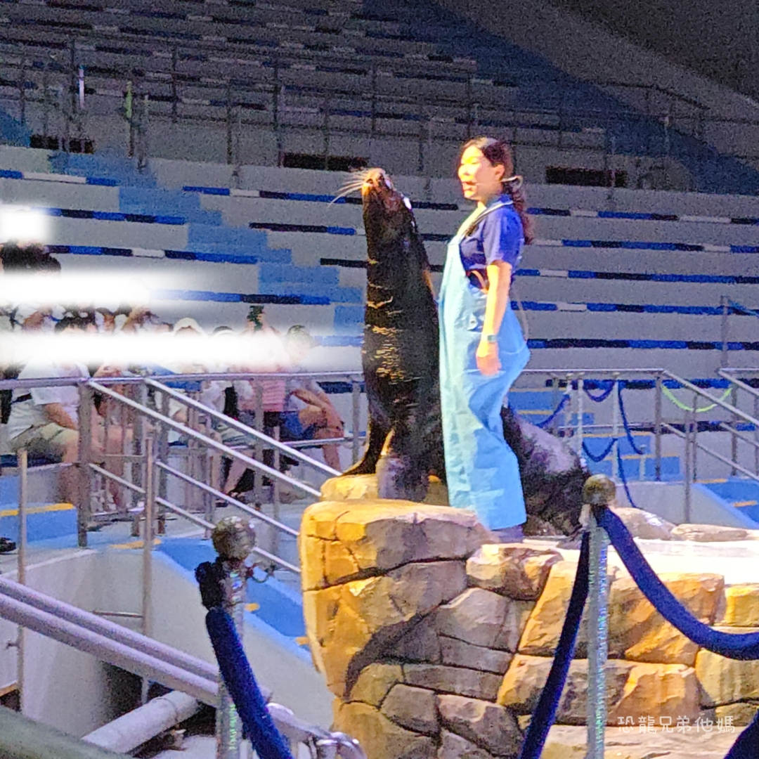韓國‧濟洲水上星球(아쿠아플라넷제주 ,Aqua Planet),韓國最大水族館,超震撼海底隧道、海女潛水秀、超萌魟魚表演全攻略,濟州必玩景點!!2025.08 - 第35張圖 韓國‧濟洲水上星球(아쿠아플라넷제주 ,Aqua Planet),韓國最大水族館,超震撼海底隧道、海女潛水秀、超萌魟魚表演全攻略,濟州必玩景點!!2025.08