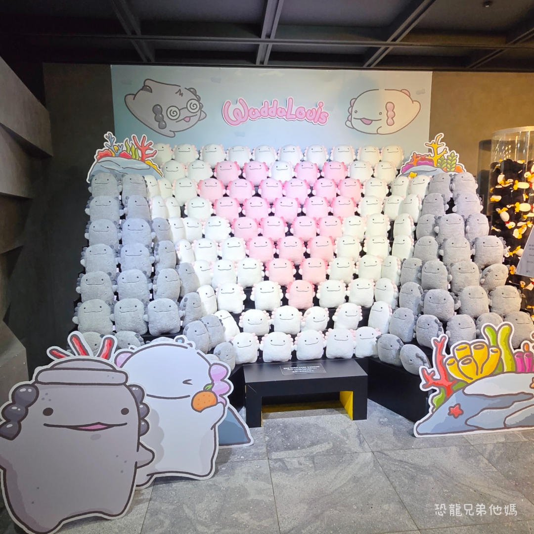 韓國‧濟洲水上星球(아쿠아플라넷제주 ,Aqua Planet),韓國最大水族館,超震撼海底隧道、海女潛水秀、超萌魟魚表演全攻略,濟州必玩景點!!2025.08 - 第185張圖 韓國‧濟洲水上星球(아쿠아플라넷제주 ,Aqua Planet),韓國最大水族館,超震撼海底隧道、海女潛水秀、超萌魟魚表演全攻略,濟州必玩景點!!2025.08