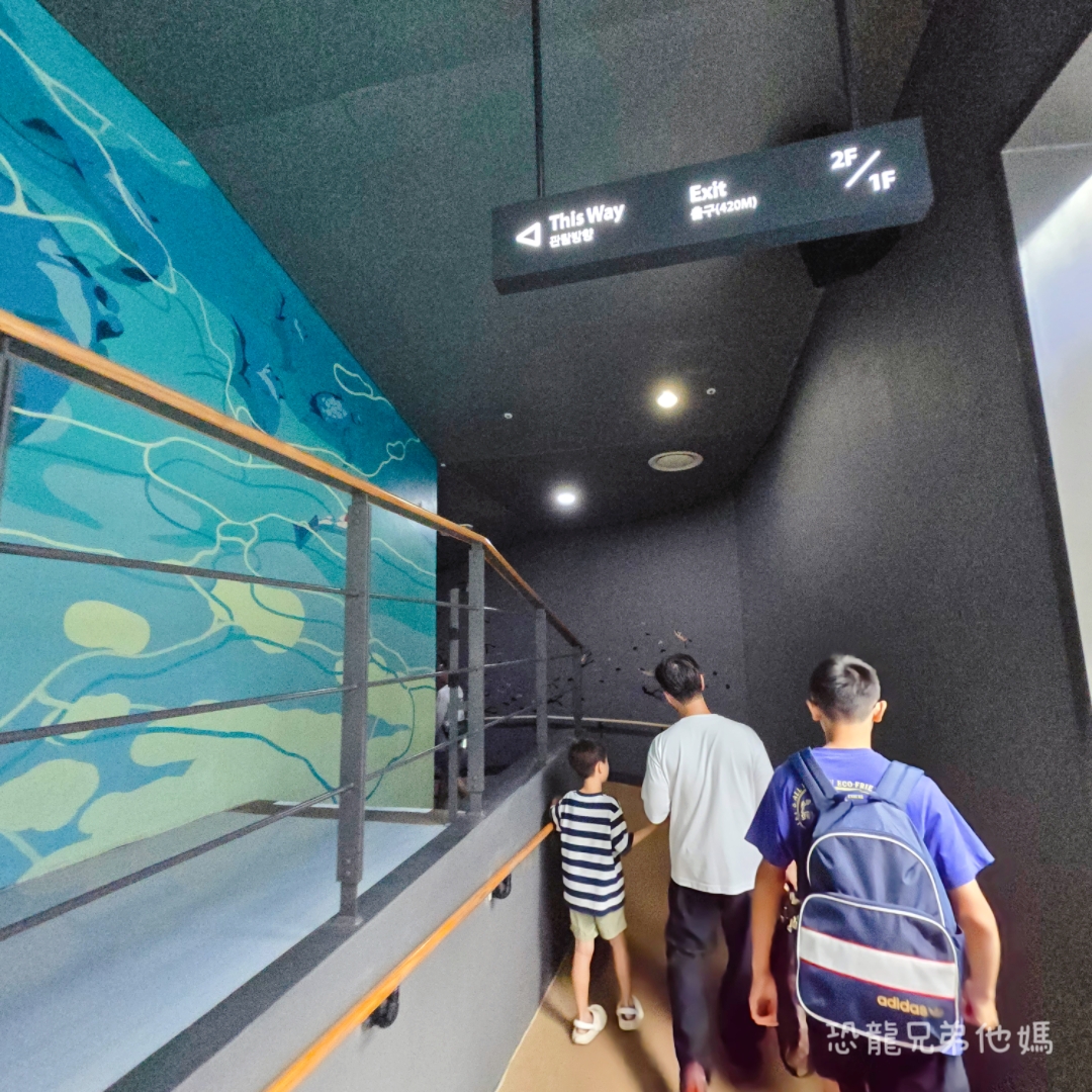 韓國‧濟洲水上星球(아쿠아플라넷제주 ,Aqua Planet),韓國最大水族館,超震撼海底隧道、海女潛水秀、超萌魟魚表演全攻略,濟州必玩景點!!2025.08 - 第63張圖 韓國‧濟洲水上星球(아쿠아플라넷제주 ,Aqua Planet),韓國最大水族館,超震撼海底隧道、海女潛水秀、超萌魟魚表演全攻略,濟州必玩景點!!2025.08