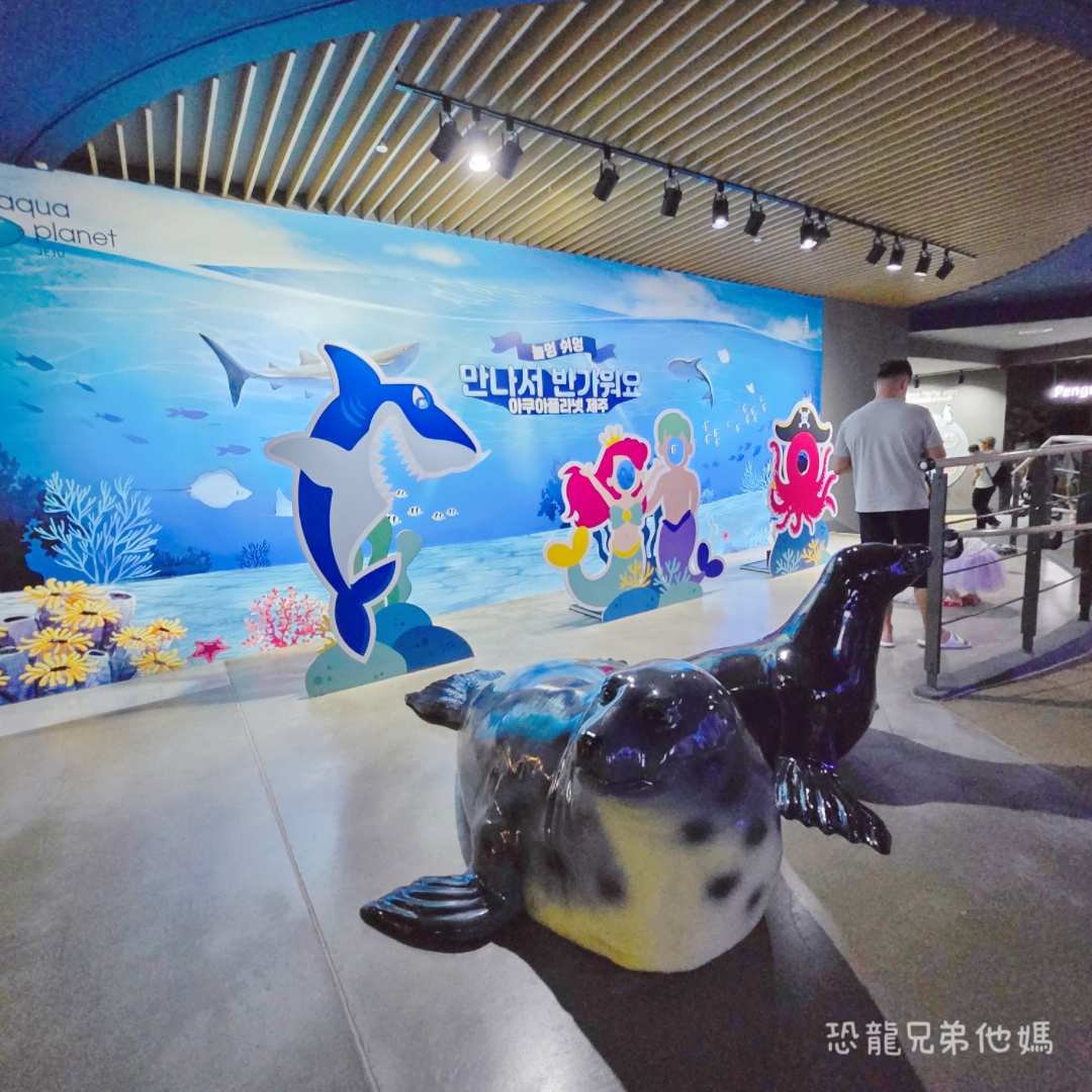 韓國‧濟洲水上星球(아쿠아플라넷제주 ,Aqua Planet)，韓國最大水族館，超震撼海底隧道、海女潛水秀、超萌魟魚表演全攻略，濟州必玩景點!!2025.08