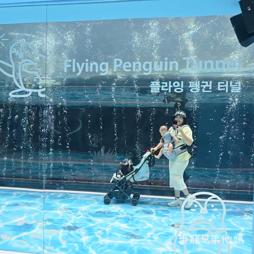 韓國‧濟洲水上星球(아쿠아플라넷제주 ,Aqua Planet),韓國最大水族館,超震撼海底隧道、海女潛水秀、超萌魟魚表演全攻略,濟州必玩景點!!2025.08 - 第74張圖 韓國‧濟洲水上星球(아쿠아플라넷제주 ,Aqua Planet),韓國最大水族館,超震撼海底隧道、海女潛水秀、超萌魟魚表演全攻略,濟州必玩景點!!2025.08
