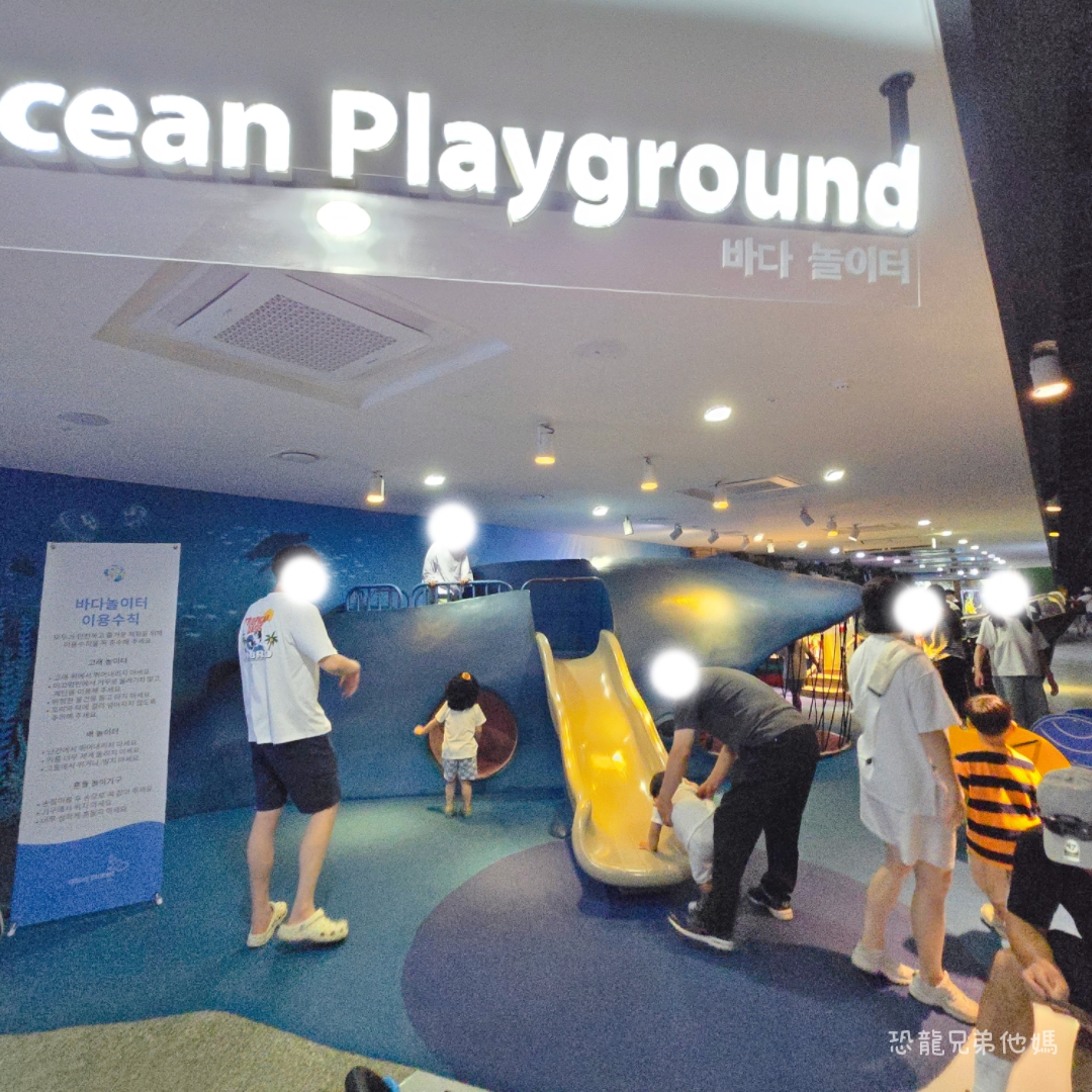 韓國‧濟洲水上星球(아쿠아플라넷제주 ,Aqua Planet),韓國最大水族館,超震撼海底隧道、海女潛水秀、超萌魟魚表演全攻略,濟州必玩景點!!2025.08 - 第132張圖 韓國‧濟洲水上星球(아쿠아플라넷제주 ,Aqua Planet),韓國最大水族館,超震撼海底隧道、海女潛水秀、超萌魟魚表演全攻略,濟州必玩景點!!2025.08