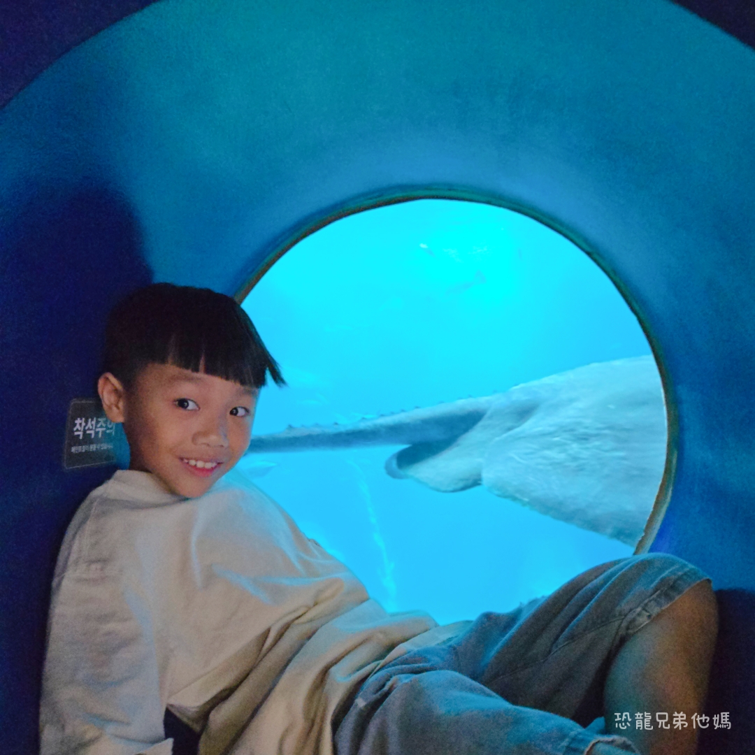 韓國‧濟洲水上星球(아쿠아플라넷제주 ,Aqua Planet)，韓國最大水族館，超震撼海底隧道、海女潛水秀、超萌魟魚表演全攻略，濟州必玩景點!!2025.08